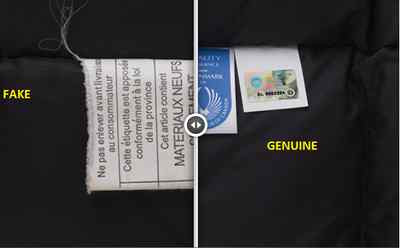 canada goose symbol meaning canada goose symbol meaning